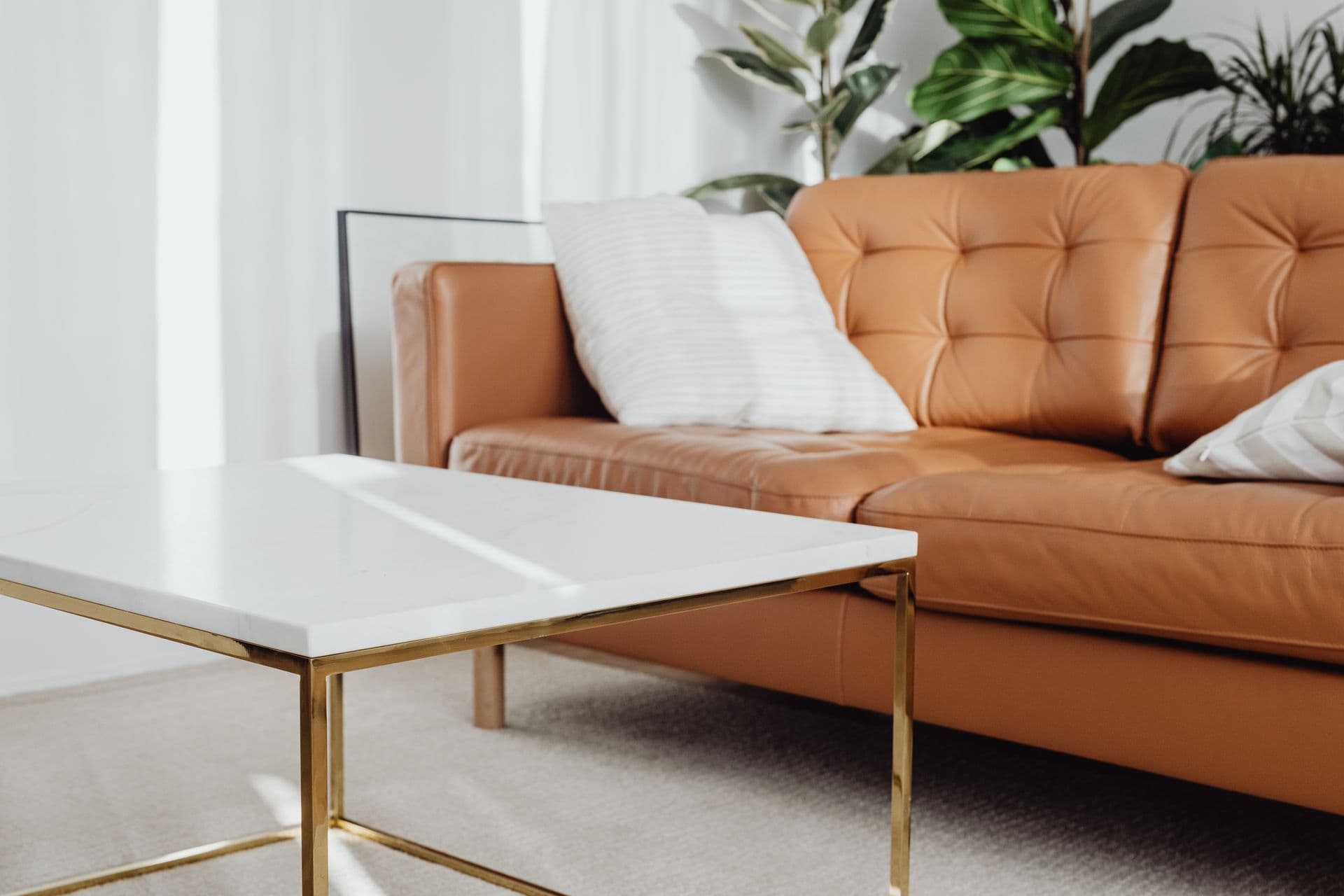Contemporary living room detail — leather sofa, marble-top table and indoor plants in natural light